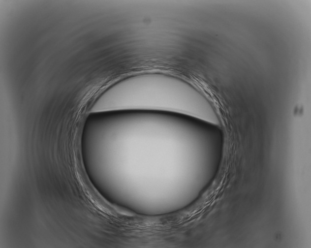 X0000096140097200801180901