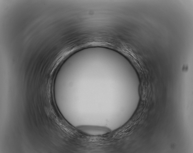 X0000096140098200801180901