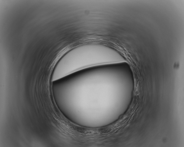 X0000096140099200801180901