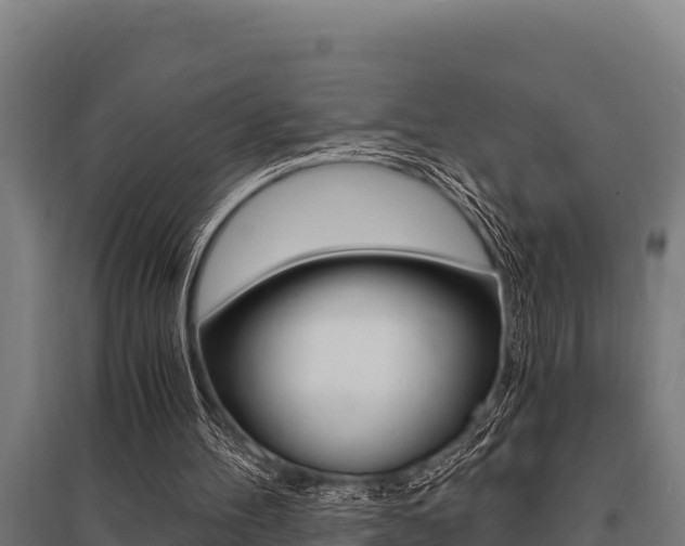 X0000096140100200801180901