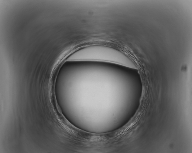 X0000096140101200801180900