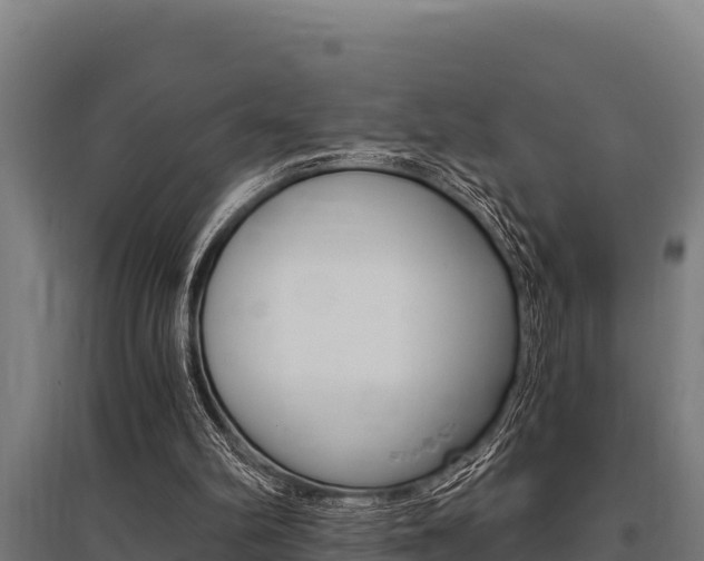 X0000096140102200801180900