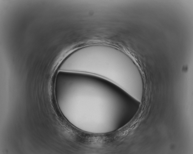 X0000096140103200801180900