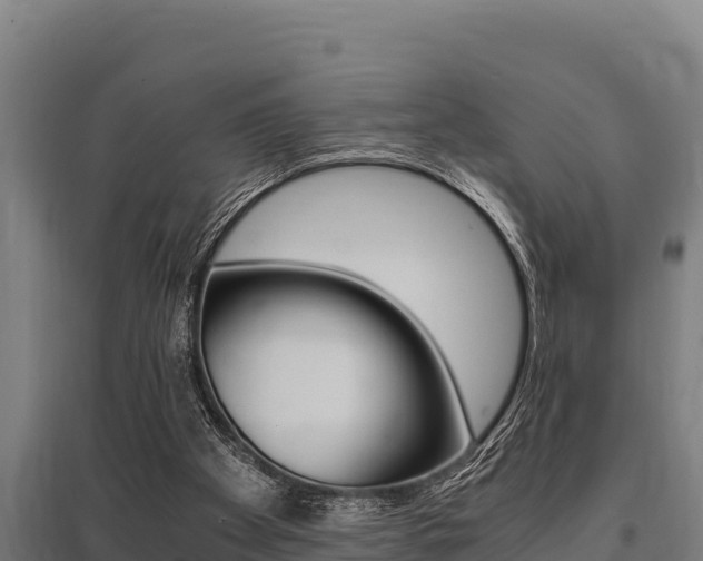 X0000096140105200801180900