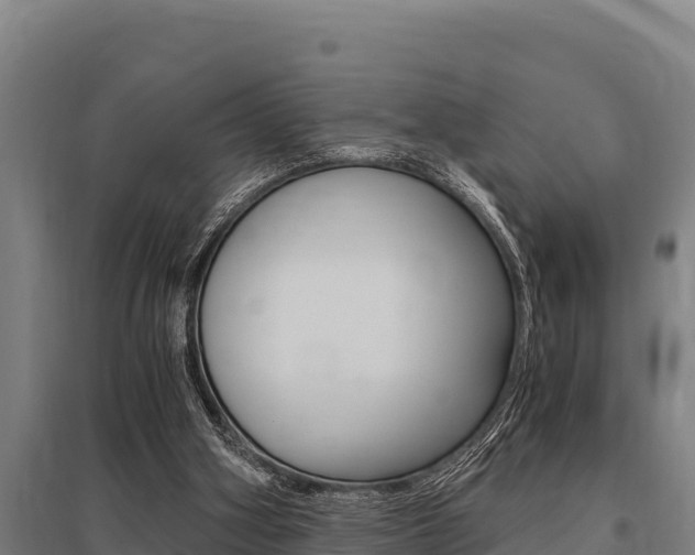 X0000096140106200801180900