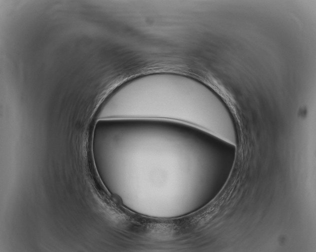 X0000096140107200801180900