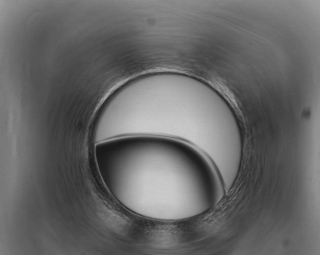X0000096140108200801180900