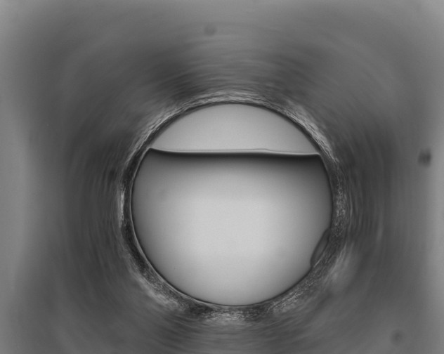 X0000096140110200801180900