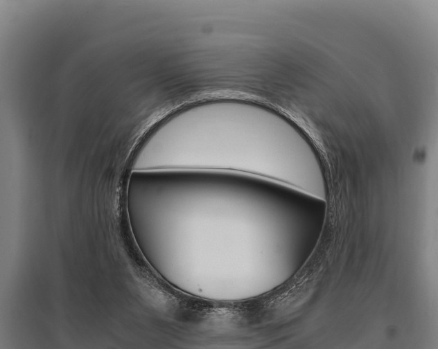 X0000096140111200801180900