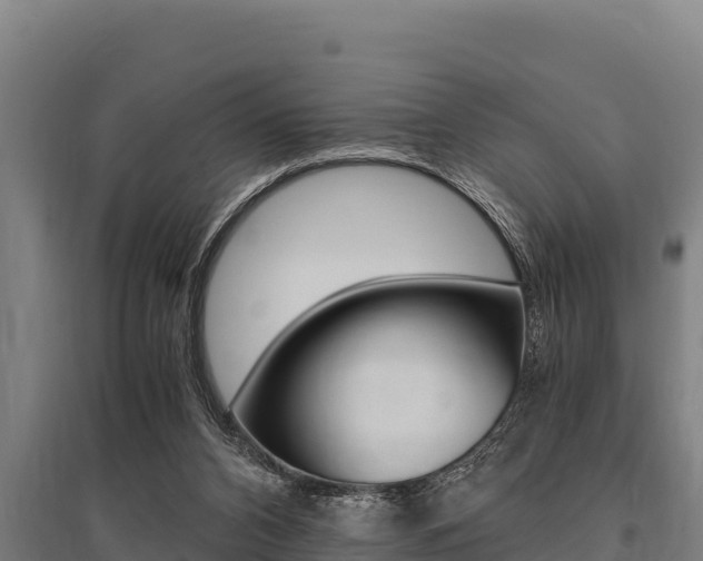 X0000096140112200801180900