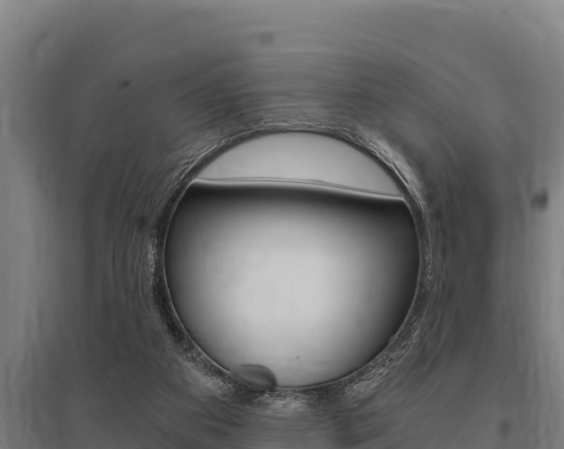 X0000096140113200801180900