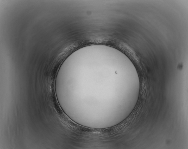 X0000096140114200801180900