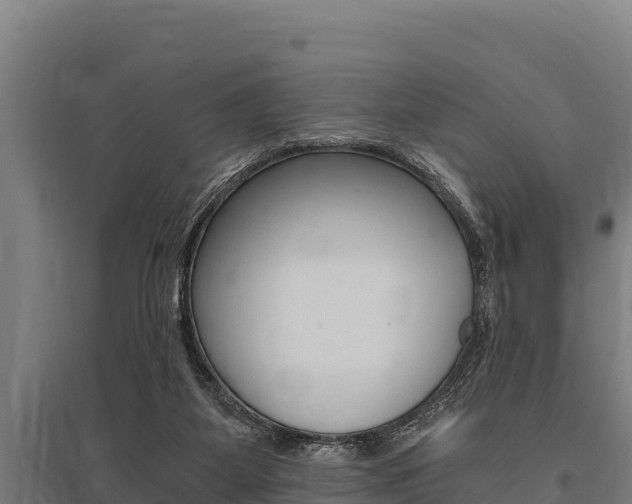 X0000096140115200801180900