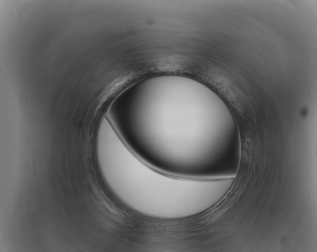 X0000096140116200801180900