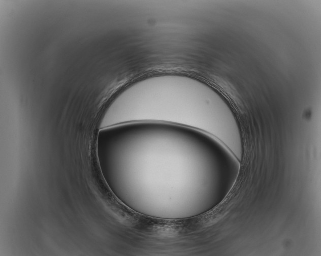 X0000096140120200801180900
