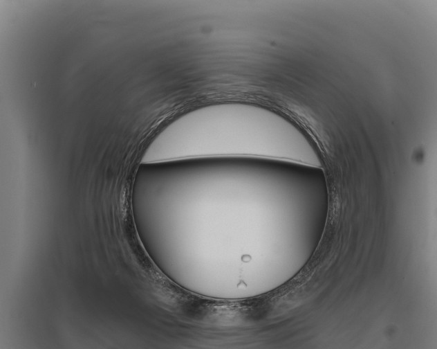 X0000096140121200801180900