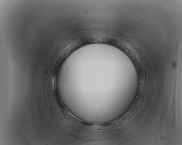 X0000096140123200801180900