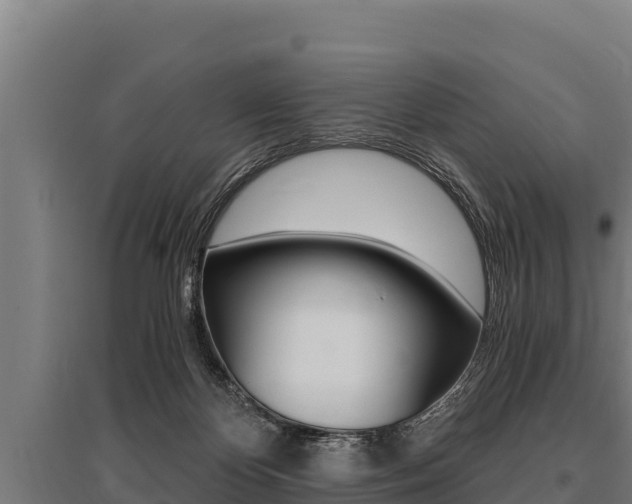 X0000096140124200801180900