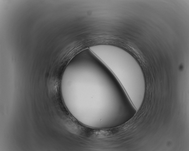 X0000096140125200801180900