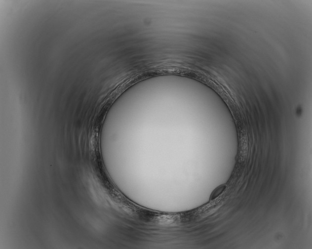 X0000096140126200801180900