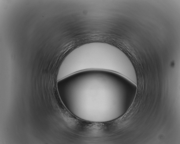X0000096140128200801180900