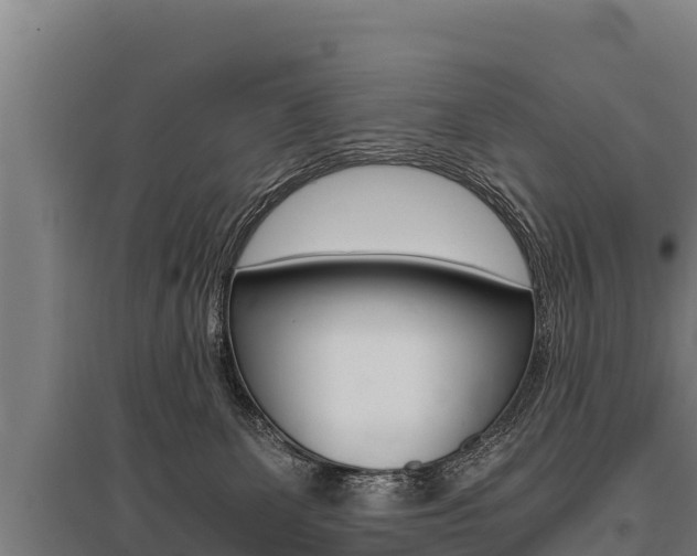 X0000096140131200801180900