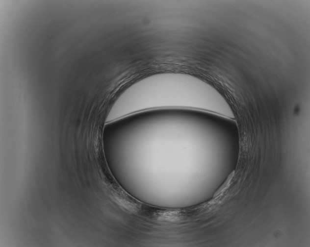 X0000096140132200801180900