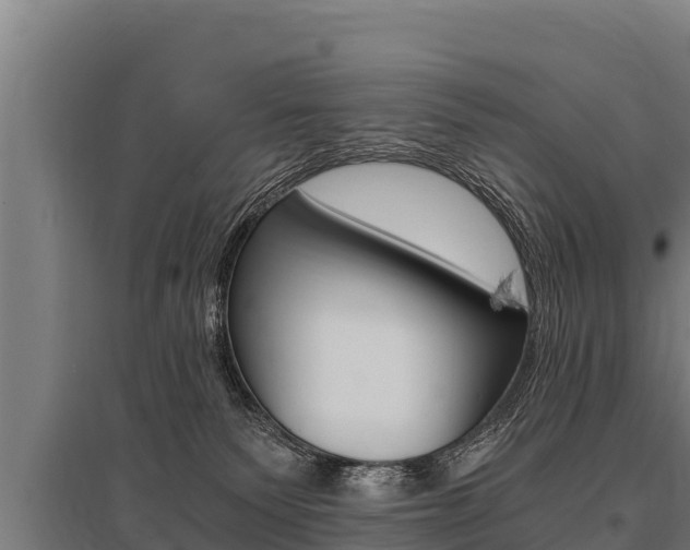 X0000096140135200801180900