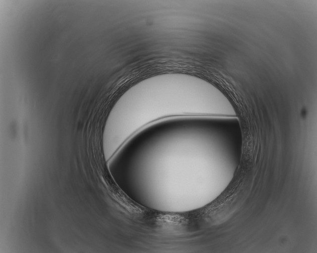 X0000096140137200801180900
