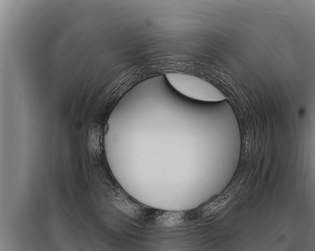X0000096140138200801180900