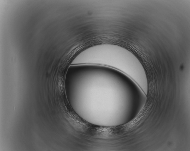 X0000096140140200801180900