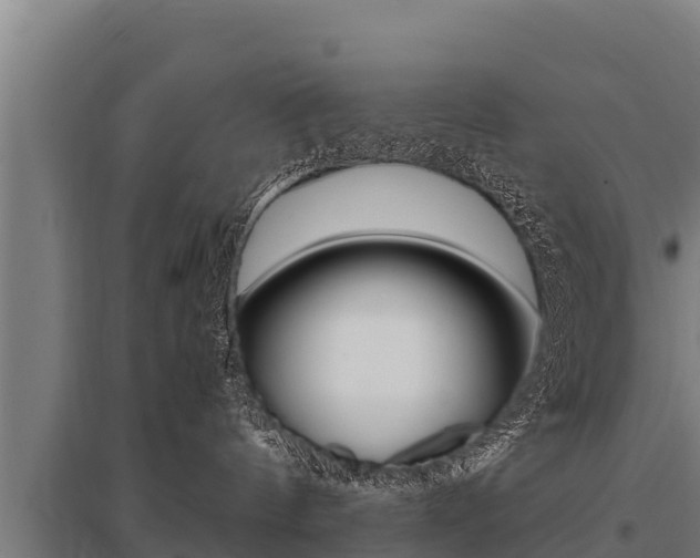 X0000096140144200801180900