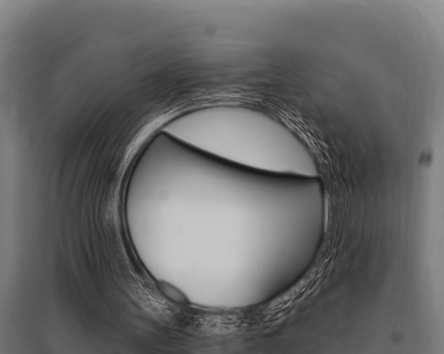 X0000096140147200801180859
