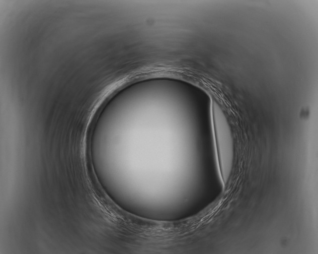 X0000096140148200801180859