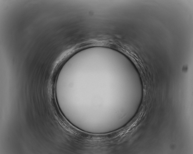 X0000096140149200801180859