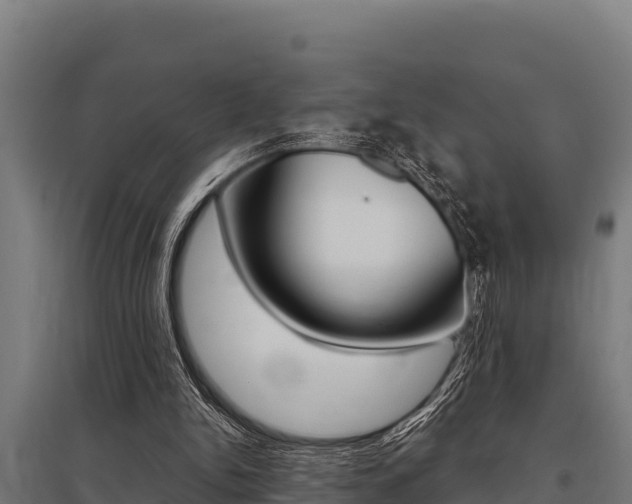 X0000096140150200801180859