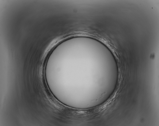 X0000096140151200801180859