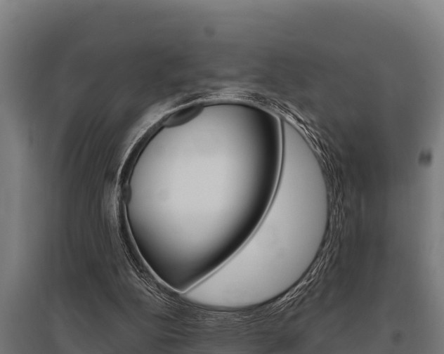 X0000096140152200801180859