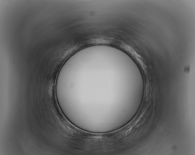 X0000096140153200801180859