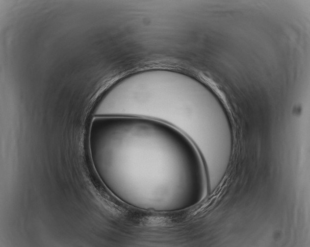 X0000096140154200801180859