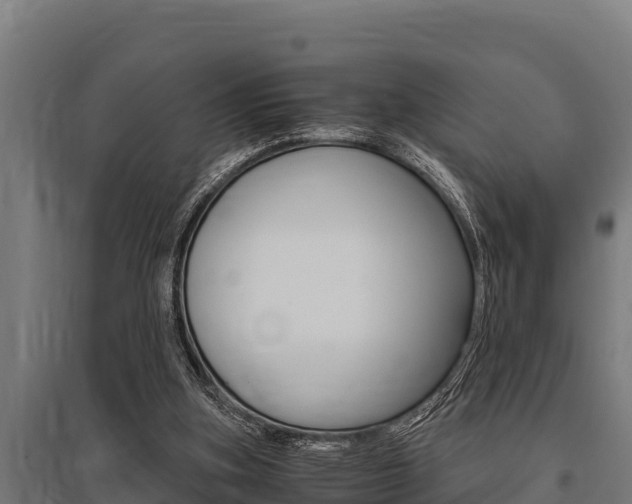 X0000096140155200801180859