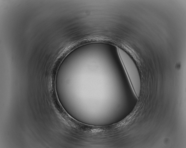 X0000096140158200801180859