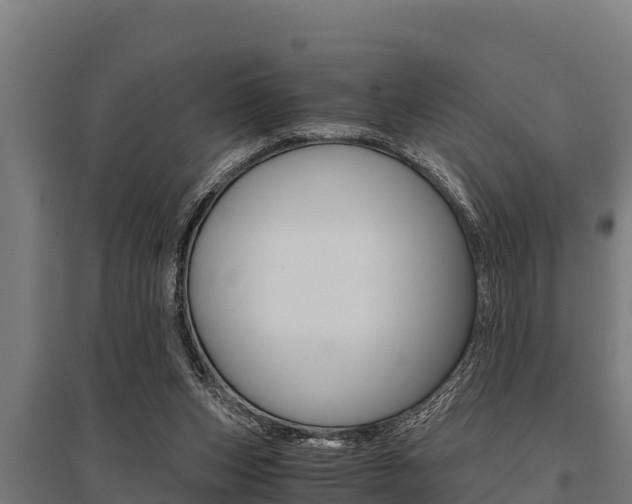 X0000096140159200801180859