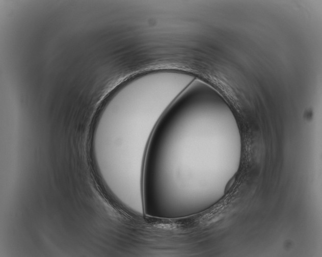 X0000096140160200801180859