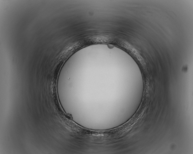 X0000096140161200801180859