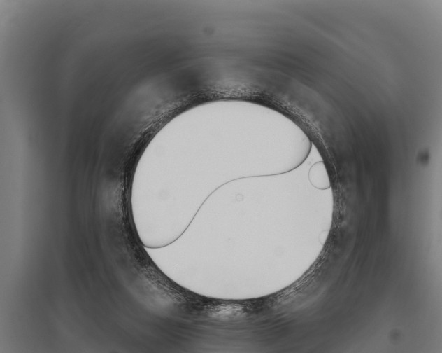 X0000096140162200801180859