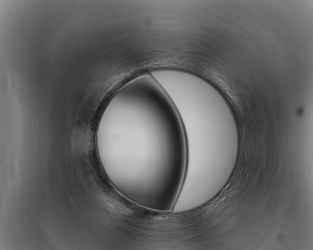 X0000096140164200801180859
