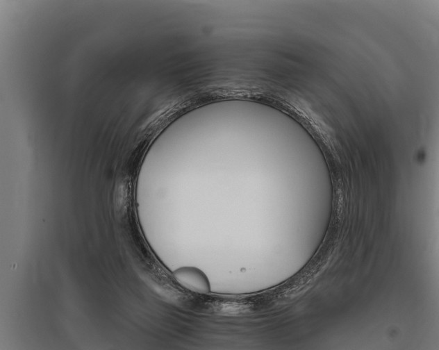 X0000096140165200801180900