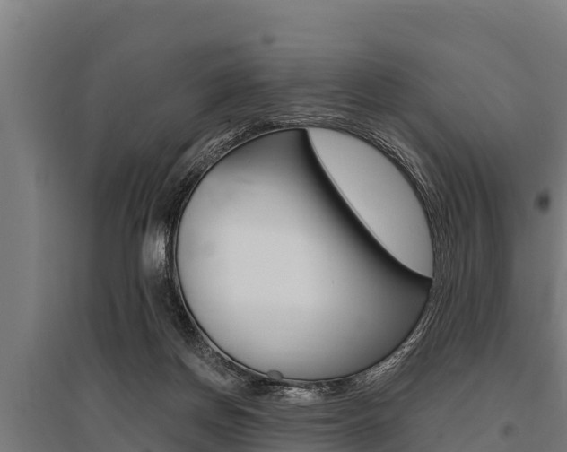 X0000096140166200801180900