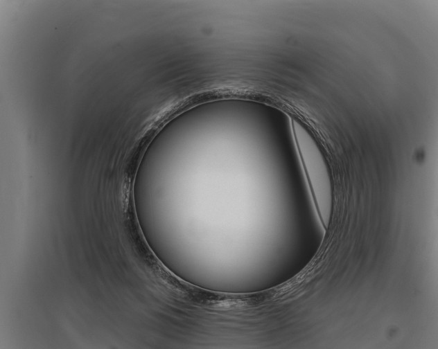 X0000096140168200801180900